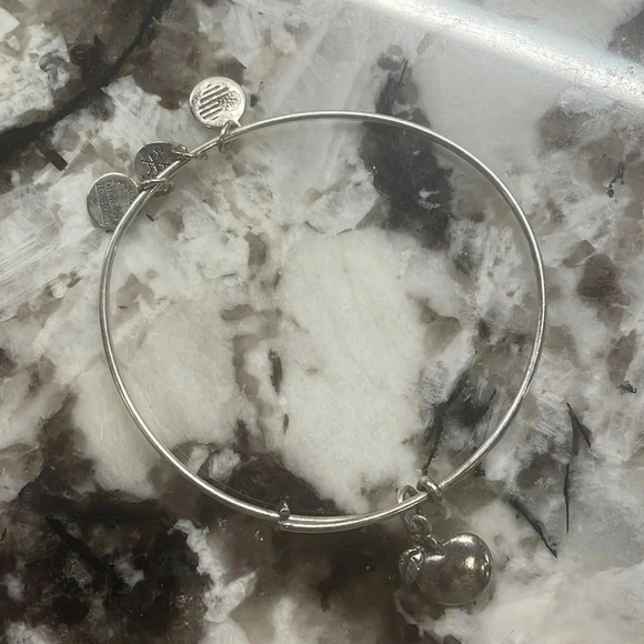 Silver‎ “Teacher/Apple” Alex & Ani Bracelet - Picture 1 of 3